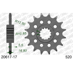 Pignone AFAM 20617-17 Passo 520