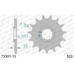 Pignone AFAM 73301-13 Passo 520